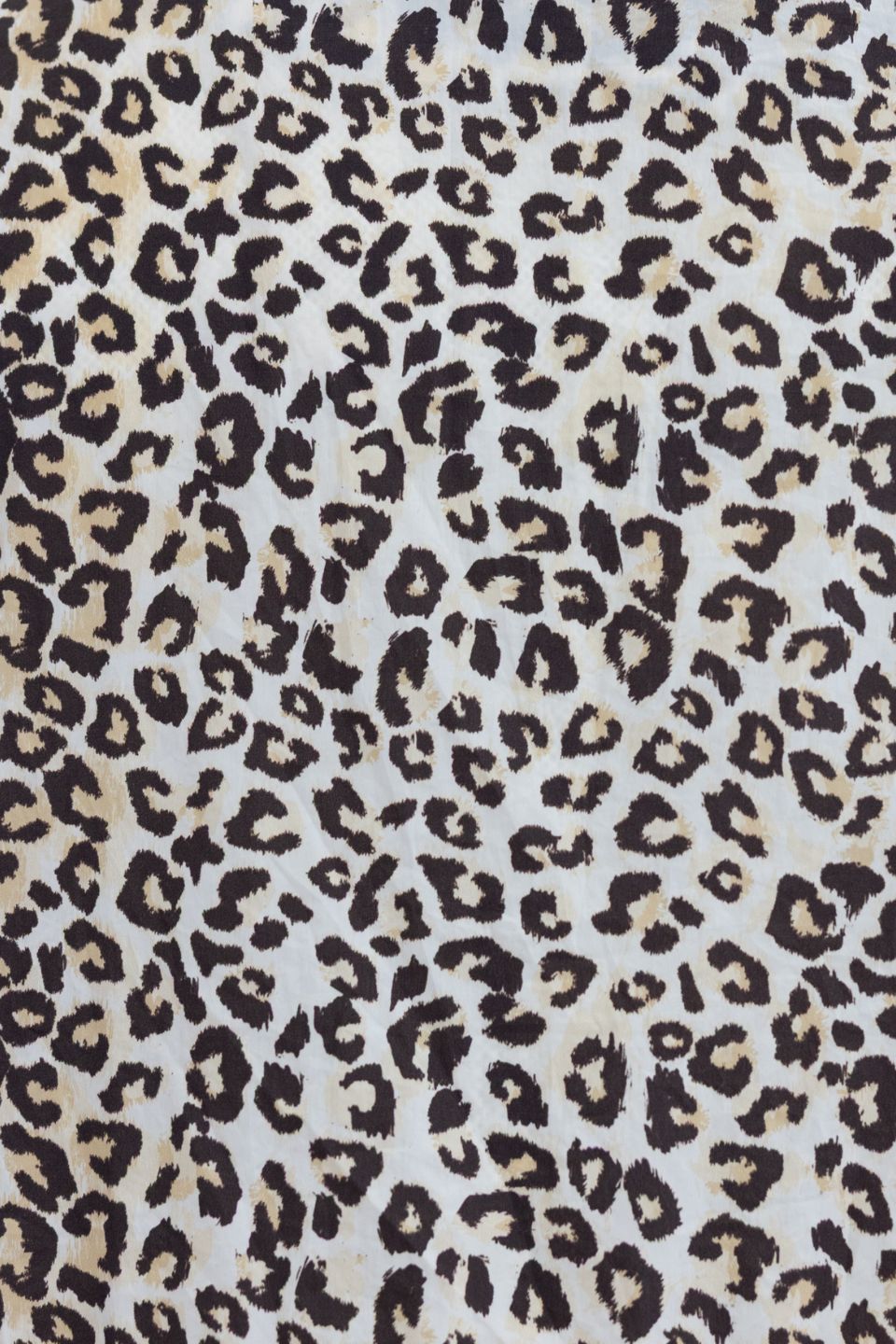 Leopard Spray Jacket